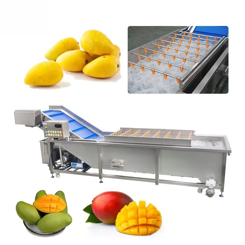 Ice Cream Pasteurizer Machine - Equipo de Lavado de Frutas y